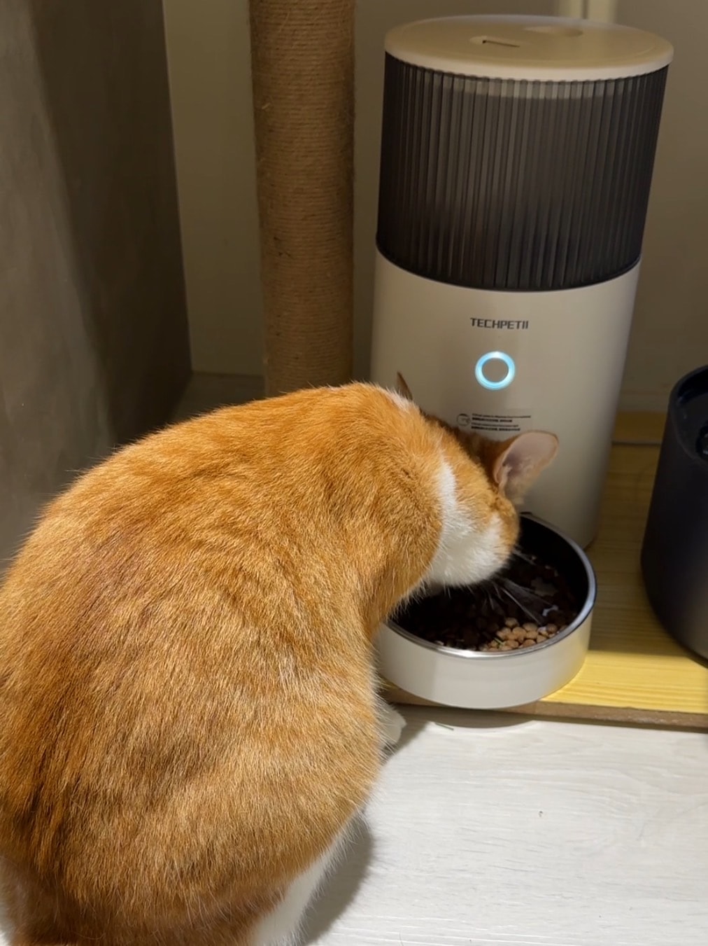 【2025自動餵食器推薦】寵物自動飼料機推薦-APP自動出餐、防止卡糧設計,毛小孩餵食好方便~蝦皮銷售量第一推薦 - 第2張圖